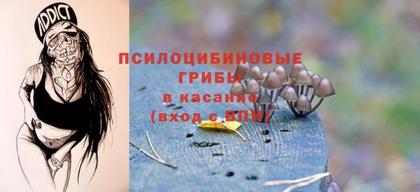 прущий лед Карпинск